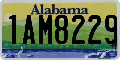 AL license plate 1AM8229