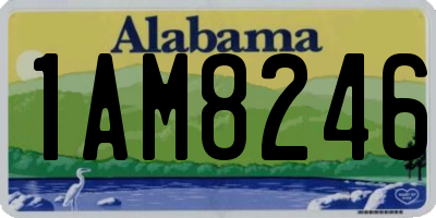 AL license plate 1AM8246
