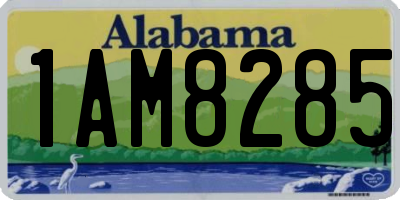 AL license plate 1AM8285