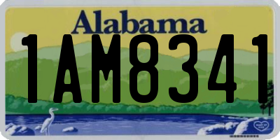 AL license plate 1AM8341