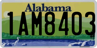 AL license plate 1AM8403