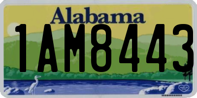 AL license plate 1AM8443