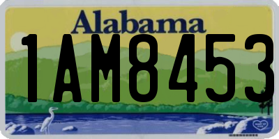 AL license plate 1AM8453