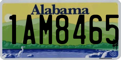 AL license plate 1AM8465