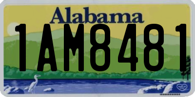 AL license plate 1AM8481