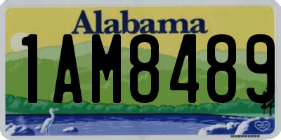 AL license plate 1AM8489
