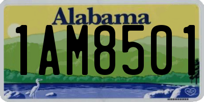 AL license plate 1AM8501