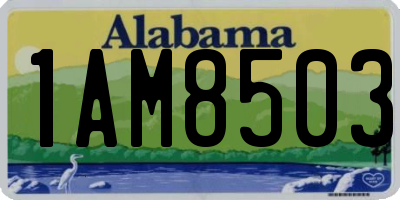 AL license plate 1AM8503