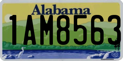 AL license plate 1AM8563