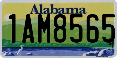 AL license plate 1AM8565