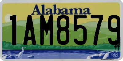 AL license plate 1AM8579
