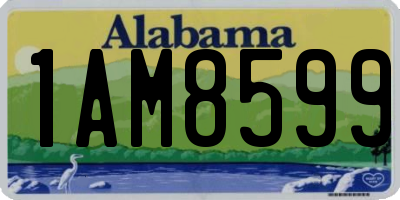 AL license plate 1AM8599