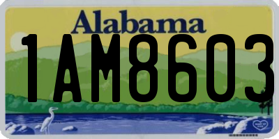 AL license plate 1AM8603
