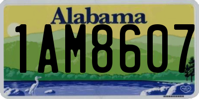 AL license plate 1AM8607