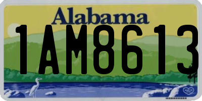 AL license plate 1AM8613