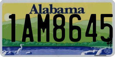 AL license plate 1AM8645