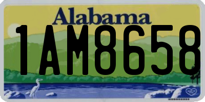 AL license plate 1AM8658