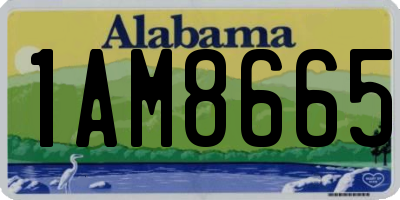 AL license plate 1AM8665