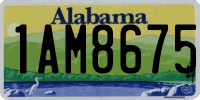 AL license plate 1AM8675