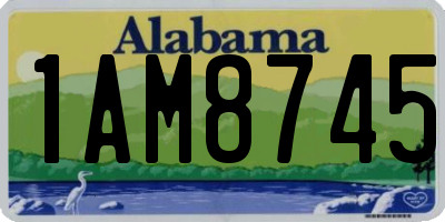 AL license plate 1AM8745