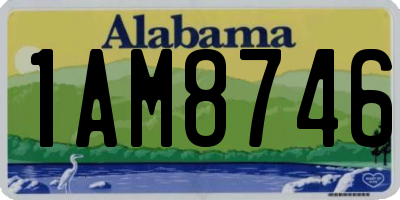 AL license plate 1AM8746