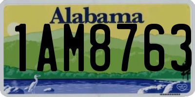 AL license plate 1AM8763