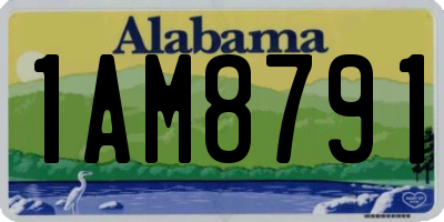 AL license plate 1AM8791