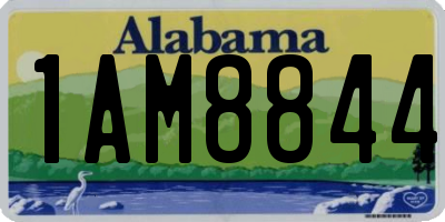 AL license plate 1AM8844