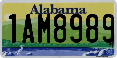 AL license plate 1AM8989