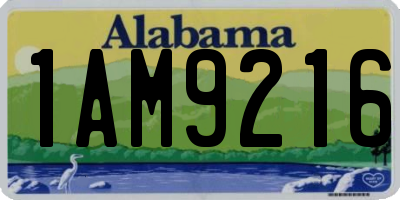 AL license plate 1AM9216