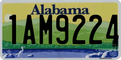 AL license plate 1AM9224