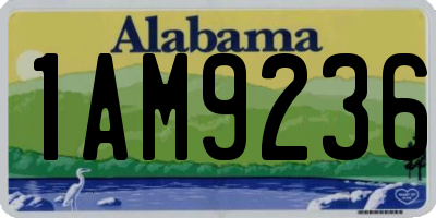 AL license plate 1AM9236