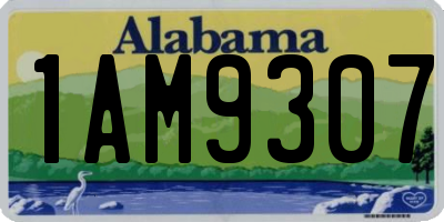 AL license plate 1AM9307