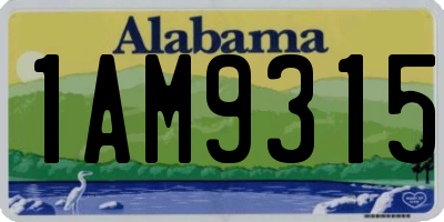 AL license plate 1AM9315