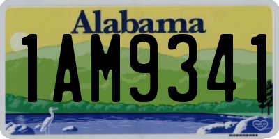 AL license plate 1AM9341