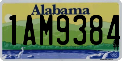 AL license plate 1AM9384