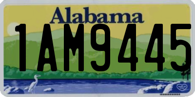 AL license plate 1AM9445