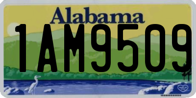 AL license plate 1AM9509