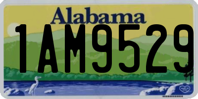AL license plate 1AM9529