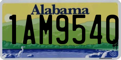 AL license plate 1AM9540