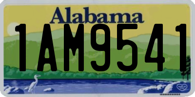 AL license plate 1AM9541