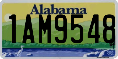 AL license plate 1AM9548