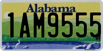 AL license plate 1AM9555
