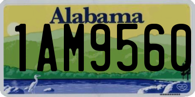 AL license plate 1AM9560