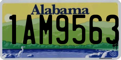 AL license plate 1AM9563