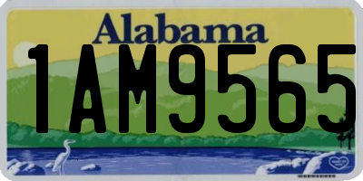 AL license plate 1AM9565