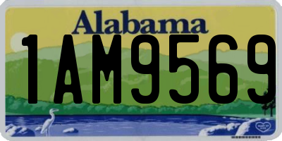 AL license plate 1AM9569
