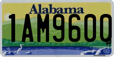 AL license plate 1AM9600