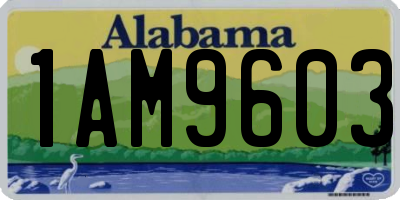 AL license plate 1AM9603