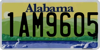 AL license plate 1AM9605